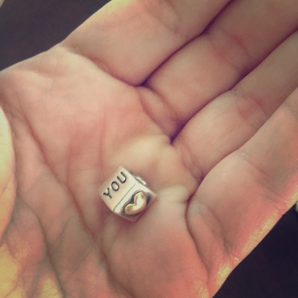 Pandora charms